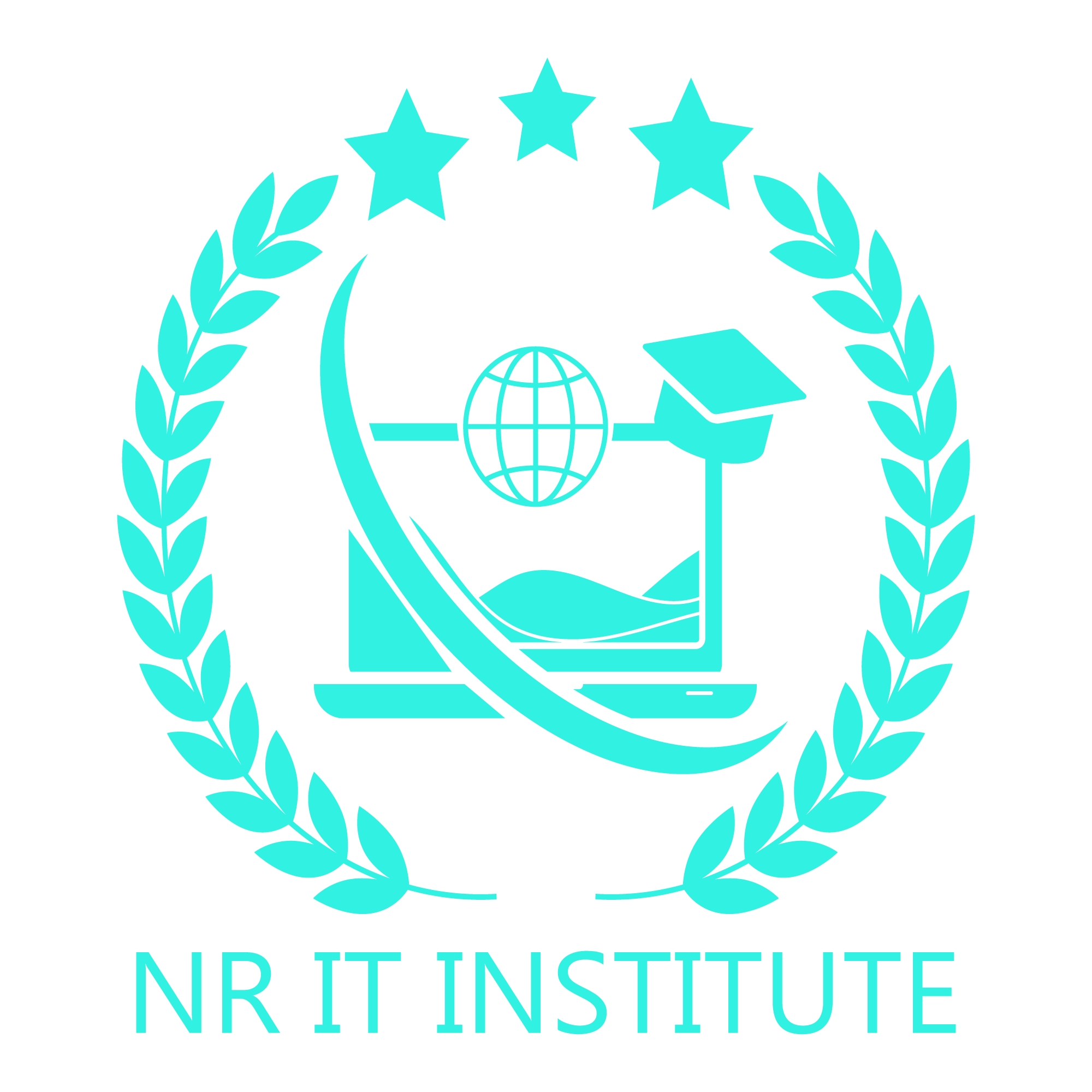 NR IT Institute